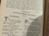 Lietuvaite 1911 senovine - nuotraukos Nr. 11