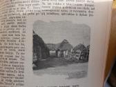 Lietuvaite 1911 senovine - nuotraukos Nr. 12