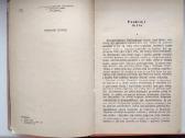 L. Tolstojus. Ana Karenina. 1,2 tomai. 1983 m. lei - nuotraukos Nr. 12