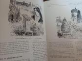 Parduodu knyga,1931m apie bites.paris - nuotraukos Nr. 14
