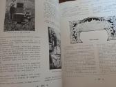 Parduodu knyga,1931m apie bites.paris - nuotraukos Nr. 26