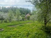 Parduodamas Išskirtinai Erdvus 10 Arų Sodo Sklypas - nuotraukos Nr. 4