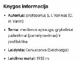 Medienos pamėlynavimas - nuotraukos Nr. 5