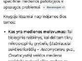 Medienos pamėlynavimas - nuotraukos Nr. 6
