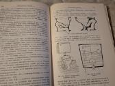 Pastatų kanalizacija - nuotraukos Nr. 14