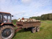Malkos kapotos ir kaladėlėmis. Beržas, juodalksnis - nuotraukos Nr. 4