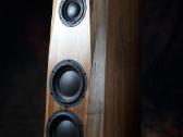Hivi Acoustics & Swan Speakers - nuotraukos Nr. 3