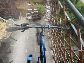 Trek Dual Sport 2 Gen 5 - nuotraukos Nr. 5