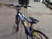 Haibike - nuotraukos Nr. 2
