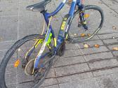 Haibike - nuotraukos Nr. 5