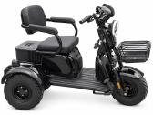 Elektrinis triratis motoroleris SL-04 Offroad - nuotraukos Nr. 3