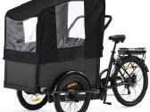 Triratis elektrinis dviratis Motiro M41 Cargo - nuotraukos Nr. 2