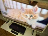 Qled Samsung The Frame Qe43ls03aau (43") 4k Ultra - nuotraukos Nr. 2