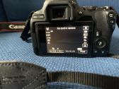 Canon EOS 250d su objektyvu - nuotraukos Nr. 5
