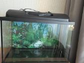 Akvariumas 70 litrų - nuotraukos Nr. 2