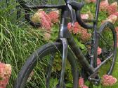 Plentinis Scott addict Rc10 - nuotraukos Nr. 3