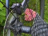 Plentinis Scott addict Rc10 - nuotraukos Nr. 17