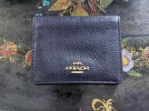 Pinigine coach moteriska - nuotraukos Nr. 7