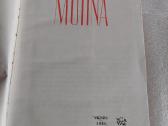 Motina - nuotraukos Nr. 2