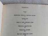 Aplikacijos pradinėse klasėse - nuotraukos Nr. 6