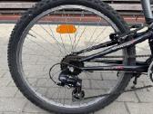 Dviratis 24" Minerva Fresh S - nuotraukos Nr. 2