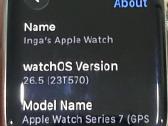 Apple Watch 7 45mm stainless steel silver - nuotraukos Nr. 10
