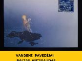 Ukraina Karas 2023 Šviesos kariai / Vandens paved - nuotraukos Nr. 2