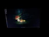 Dell profesionalus darbui ir žaidimams monitorius - nuotraukos Nr. 4
