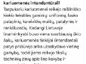 Linų verpimas ir audimas - nuotraukos Nr. 13