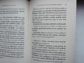 E. von Arnin. Elizabetė ir jos vokiškas sodas - nuotraukos Nr. 7