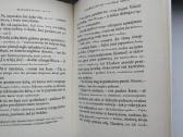E. von Arnin. Elizabetė ir jos vokiškas sodas - nuotraukos Nr. 9