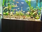 Akvariumas 220l - nuotraukos Nr. 4