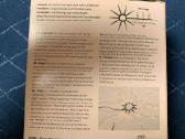 Kalėdinės lemputės - nuotraukos Nr. 7