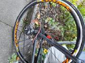 Karboninis triatlono Felt sportinukas - nuotraukos Nr. 2