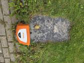Vejos robotas Stihl Rmi 422 - nuotraukos Nr. 3