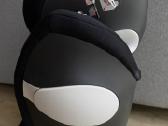 Cybex Solution M-fix 15-36 kg - nuotraukos Nr. 3