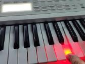 Yamaha Ez 310 . - nuotraukos Nr. 4