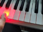 Yamaha Ez 310 . - nuotraukos Nr. 5