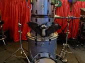 Parduodamas Sonor Special Edition būgnų komplektas - nuotraukos Nr. 3