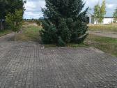 Parduodamas 108 a. komercinės paskirties sklypas - nuotraukos Nr. 5