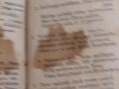 Giesmynėlis - nuotraukos Nr. 3