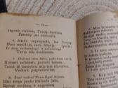 Giesmynėlis - nuotraukos Nr. 5