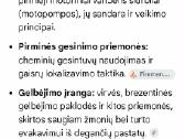 Gaisrinis įrankis - nuotraukos Nr. 6