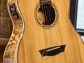 Washburn Sc56s elektroakustinė gitara - nuotraukos Nr. 2
