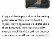 Raseiniai - nuotraukos Nr. 3