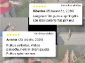 Spiningo komplektas ešeriams (Naujas) - nuotraukos Nr. 5