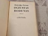 Ogiustas Rodenas - nuotraukos Nr. 2