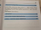 Anglų kalba per 4 savaites - nuotraukos Nr. 9