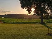Kanapių sėklos - nuotraukos Nr. 7