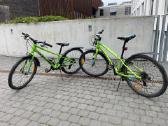 Vaikiskas Cannondale dviratis - nuotraukos Nr. 6